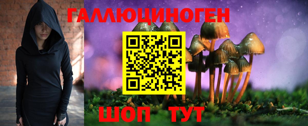 Псилоцибиновые грибы Magic Shrooms  Вход с VPN  Чебоксары  Галлюциногенные грибы Cubensis 