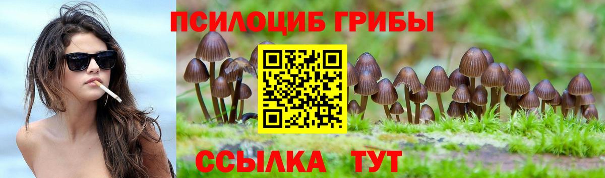 Галлюциногенные грибы Psilocybine cubensis Чебоксары